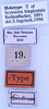 CollectionObject 1534479; 81481b8a-ae76-440c-8b51-270c82c5f1da: labels (holotype). (CollectionObject).