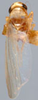 Habitus, dorsal view on Ahmedra Dworakowska & Viraktamath, 1979: Habitus (holotype of A. bakeri Mahmood, USNM collection). (Observation).