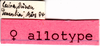 CollectionObject 1543099; 9ed52b56-5875-438c-be12-5309be4edbb5: labels (allotype of of Heteracris rantae africanus). (CollectionObject).