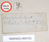 CollectionObject 1559197; 958d0635-9492-4c7e-8b6b-b20736f020c2: copyright Natural History Museum, London. female, data labels - small round blue label reversed (syntype). (CollectionObject).