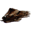 Pygofer, lateral view on Falcitettix (Falcitettix) guttiger (Kusnezov, 1929): Pygofer, lateral view (M. minor Vilbaste, 1965). (Observation).
