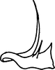 Aedeagus, lateral view on Eupterella acuminata DeLong & Ruppel, 1950: Aedeagus, lateral view. (Observation).