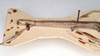 CollectionObject 1559417; 07638f2e-10fd-449d-9943-5362739d60f5: copyright SAM, Adelaide. female: head and thorax, lateral view of Lonchodes caurus (holotype). (CollectionObject).