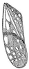 Forewing: !! display not done !! on Fitchana vitellina (Fitch, 1851): forewing. (Observation).