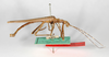 CollectionObject 1561395; bc1fdb78-b14d-4fa5-a7cc-d74f9f299480: copyright ZMB, Berlin. male, lateral view (lectotype). (CollectionObject).
