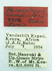CollectionObject 1523778; 620616c5-2c8a-47e7-93fd-4122aa6299d7: labels (holotype). (CollectionObject).