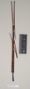 CollectionObject 1559451; NHMUK(SF IMPORT DUPLICATE) 844623-626, 3634f3ca-e221-45d4-984f-9b63a255aa78: copyright Natural History Museum, London. male (syntype). (CollectionObject).