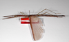 CollectionObject 1560296; 5aba587b-929b-460c-b3ef-f19dd52b270d: copyright MNHU, Berlin. female (paratype). (CollectionObject).