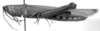 CollectionObject 1525096; a655f390-2f9e-4d76-b955-5052c14f8f72: female, lateral view (holotype). (CollectionObject).