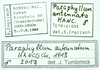 CollectionObject 1584423; 50e717fc-a147-40dd-8e28-074efb3b2ac3: labels. (CollectionObject).