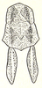 Burmacris charlottae (Ramme, 1941): Fig. 55. male pronotum (4.5-5.2 mm) and tegmina (3.8-4.2 mm). (Otu).