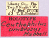 CollectionObject 1499226; a7c23f51-9d56-4056-b5f5-d4477ed7fafe: labels (holotype). (CollectionObject).