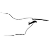 Pygofer, lateral view on Exitianus indicus (Distant, 1908): type. (Observation).