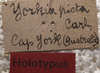 CollectionObject 1505903; ef3688d0-79db-4b94-b71b-f7eed251f616: labels (holotype of Yorkiella picta). (CollectionObject).