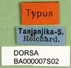 CollectionObject 1578812; 56199d8c-b45d-499b-b1cb-b1ee9ac2ca1f: labels (syntype). (CollectionObject).
