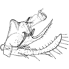 Pygofer, lateral view: !! display not done !! on Smyga distincta Dworakowska, 1995: genital capsule, lateral. (Observation).