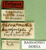 CollectionObject 1501890; 2f01f41e-460e-4a38-97e5-34793563d096: labels (paratype). (CollectionObject).