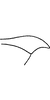 Pygofer, lateral view on Arboridia (Arboridia) koreacola (Matsumura, 1932): Pygofer appendage. (Observation).