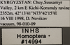 Other on Cosmotettix (Airosus) costalis (Fallén, 1826): Labels. (Observation).