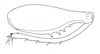 Ceuthophilus (Ceuthophilus) utahensis Thomas, 1876: Fig. 449. male hindleg. (Otu).
