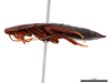 CollectionObject 1863614; ccd718d6-29ce-4746-b5bd-2dd086ab0b51: (CollectionObject).