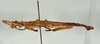 CollectionObject 1557493; 8f0ee6a6-9c88-4a79-ab36-6ed3d5d77847: copyright USNM, Washington. (CollectionObject).