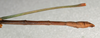 CollectionObject 1559396; NMW 541, 1a43b420-91a4-4213-a1cc-0c7a3336d237: copyright NMW, Vienna. male: end of abdomen, lateral view of synonym Dixippus bicolor (syntype). (CollectionObject).