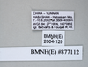 CollectionObject 1573497; de06c27d-8d64-4a0c-bb84-354abc7cc609: Copyright NHM, London. data labels, non-type. (CollectionObject).