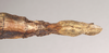 CollectionObject 1560498; 9f6255ae-b881-457f-b808-5bda1a544370, NHMUK(SF IMPORT DUPLICATE) 845029-845030: copyright Natural History Museum, London. female: end of abdomen, ventral view (syntype). (CollectionObject).