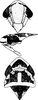 Head on Diomma (Diomma) ilsae (Jacobi, 1941): Head, pro-, and mesothorax. (Observation).