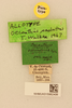 CollectionObject 2066832; e53fc876-4017-4b78-9baf-8be4077374fb, NHMUK015982406: labels (paratype). (CollectionObject).