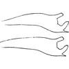 Pygofer, lateral view: !! display not done !! on Jacobiasca lybica (Bergevin, 1922): Pygofer dorsal appendage (lectotype). (Observation).