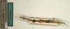 CollectionObject 1558542; 530c177e-7083-4207-a399-4377e1eea36f, NMW 896: copyright NMW, Vienna. female of synonym Parasipyloidea cercata (holotype). (CollectionObject).