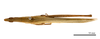 CollectionObject 1538219; 5884eb50-cf75-4c3d-82f3-91c474465706: male, dorsal view (holotype). (CollectionObject).