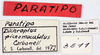 CollectionObject 1513876; 09c9162d-45f4-463d-baf9-ebd9e452bde3, MLP3511/2: labels (paratype). (CollectionObject).