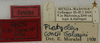 CollectionObject 1536008; 3dc16be7-772f-4bdf-b6db-7a83d590b6f5: labels (paratype). (CollectionObject).