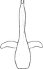 Aedeagus, ventral view on Elymana pallidipennis (Lindberg, 1929): Aedeagus, ventral view. (Observation).
