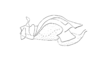 Brakeracris varablancensis Rowell, 1995: Fig. 5E. endophallus, lateral view. (Otu).