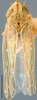 Habitus, dorsal view on Calanana DeLong, 1945 now Calana DeLong, 1936: Calanana umbratica, dorsal habitus (NMNH). (Observation).