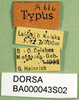 CollectionObject 1576220; e5b30786-4ed1-457f-8570-90234519c9f1: labels (allotype). (CollectionObject).