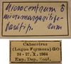 CollectionObject 1542958; 5e6e38e5-413d-47b3-b363-31bd6868ff27: labels (paratype). (CollectionObject).