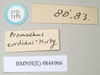 CollectionObject 1560273; 6ce14ac0-25f6-45dd-a0c7-f2e51e329f2b, NHMUK(SF IMPORT DUPLICATE) 844965: copyright Natural History Museum, London. female, data labels [rectangular label reversed] (paratype). (CollectionObject).