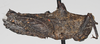 male, lateral view (paratype). Depicts CollectionObject 1575251; NNM RMNH.INS 968004, a8915dda-5a50-4fe7-ba8a-ed9e783e0b8f, a CollectionObject.