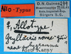 CollectionObject 1502398; e4c296b9-4199-4e25-b2b4-d8d66367ab6f: labels (syntype or allotype). (CollectionObject).