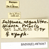 CollectionObject 1573073; 1fcaa710-e13a-48b9-91d0-7ac86459fb61: Copyright Natural History Museum, London. Labels from non-type (female nymph) in BM(NH). (CollectionObject).