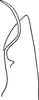 Pygofer, dorsal view: Pygofer, dorsal view. (Observation).