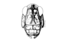 Incacris phaenogaster Rehn, 1942: Fig. 142. female head, frontal view. (Otu).