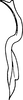 Stylus on Mileewa (Mileewa) margheritae Distant, 1908: Stylus. (Observation).