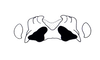 Sclerophilacris corticola Descamps, 1976: Fig. 58. epiphallus, dorsal view. (Otu).