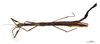 CollectionObject 1562082; 90530cc6-cb38-4b10-8907-0cd7c40c2cfa: copyright MNHN, Paris. female of synonym Sosibia solida (holotype). (CollectionObject).